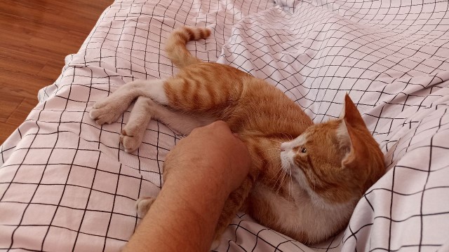 Как я на море поехал, а оказался в горах