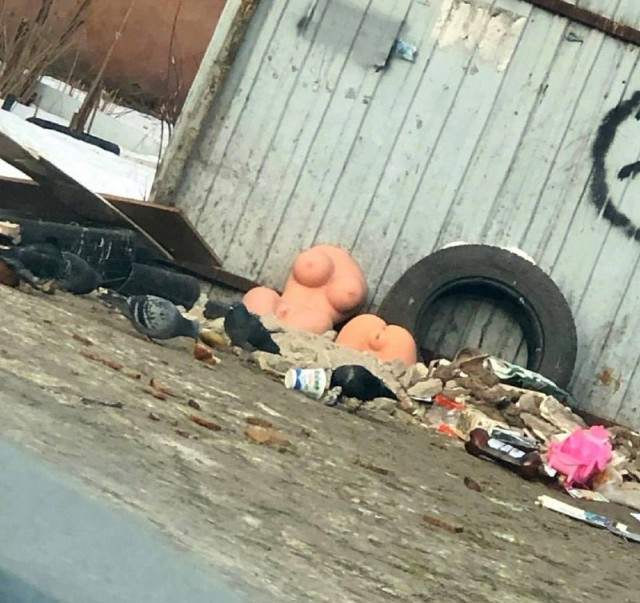 Весёлый полтишок 19.11.23