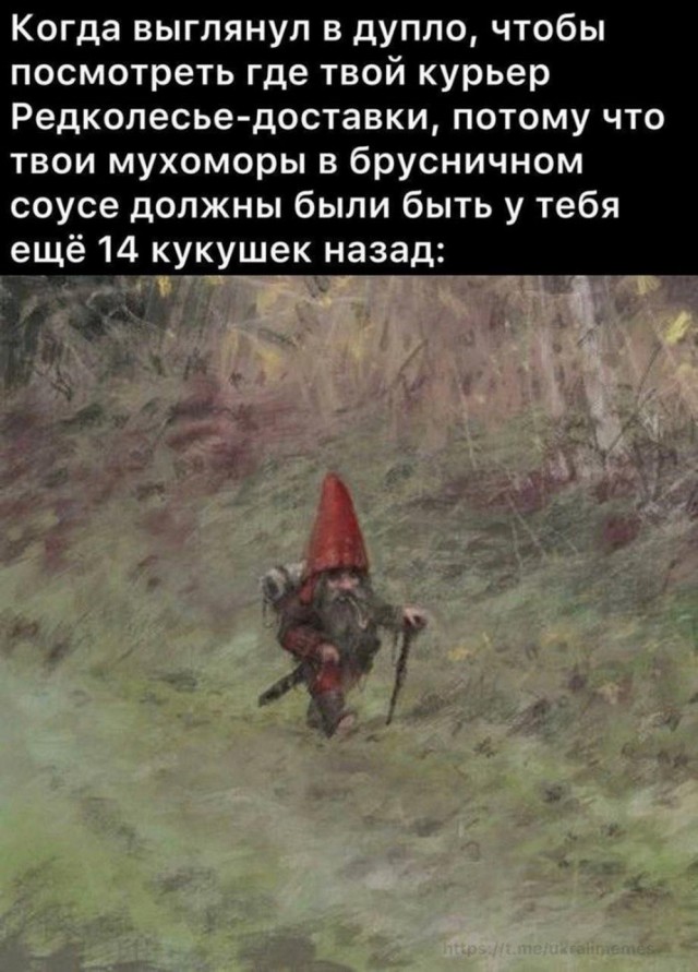 Всего понемногу. От 15.01.2024