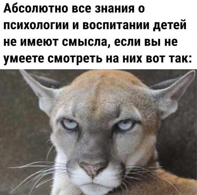 Так себе картинки 09.02.24