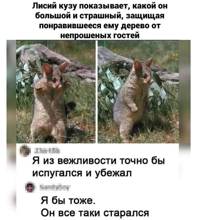 Отряд быстрого деградирования