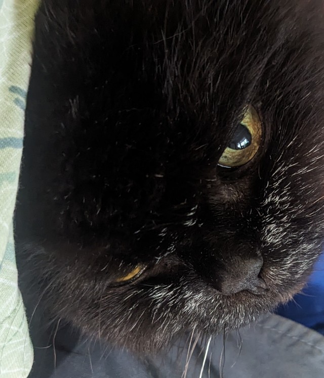 Коть, тебе нормально?
