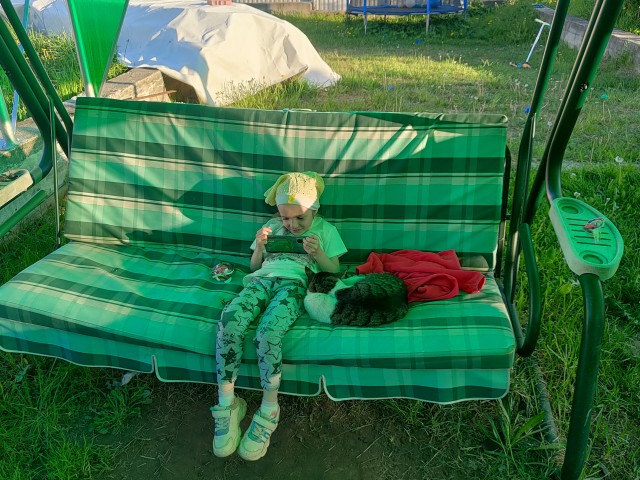 Котейке подарили подушку