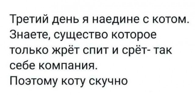 Дело было вечером