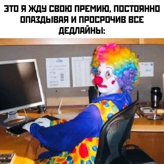 Весёлый полтишок 11.11.24