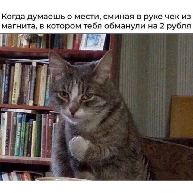 Весёлый полтишок 10.12.24