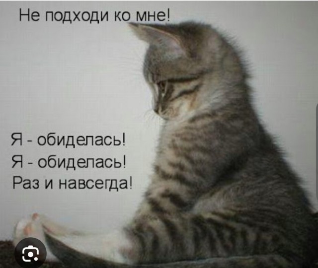 Жена с Египта привезла в "подарок"...