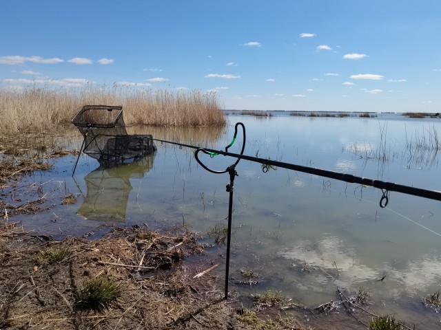День, проведенный на рыбалке