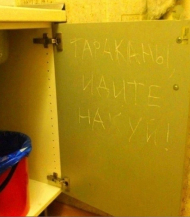 Интернет-мемчики на вторник и рабочее место