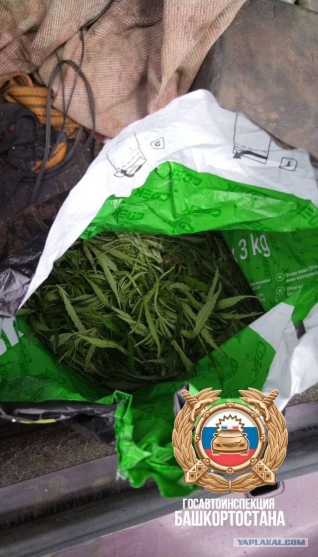 Поймали преступника