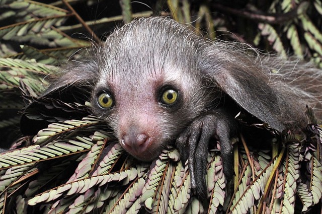 Заряд позитива: взгляните на 25 самых забавных снимков