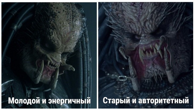 Чужой и Хищник с точки зрения биологии