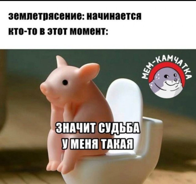 На Камчатке землетрясение 7.8 баллов