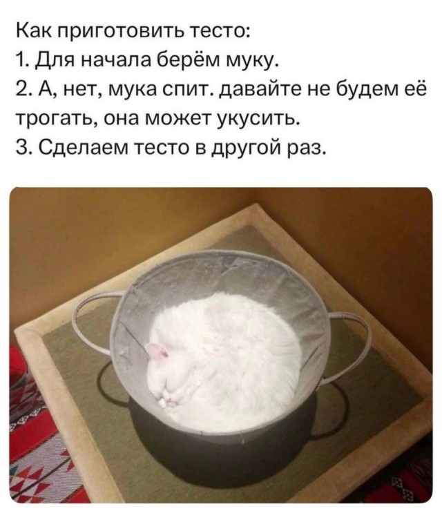 Картинки среды