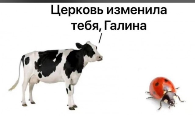 Минутка деградации