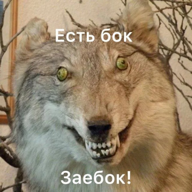 Картинки для деградации 93 (разной степени свежести)
