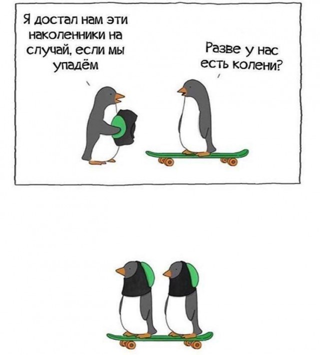 Парад пингвинов провели в Китае
