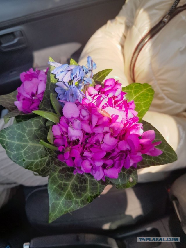 Не дать растаять Снегурчке. Нужна помощь всесильного Япа.