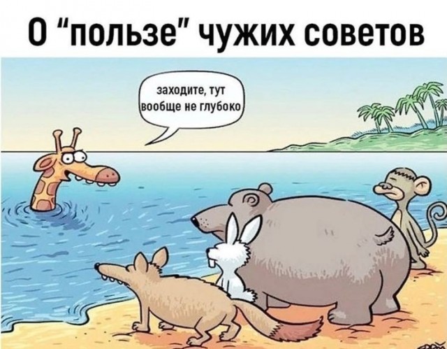 «Спасательство закончилось»