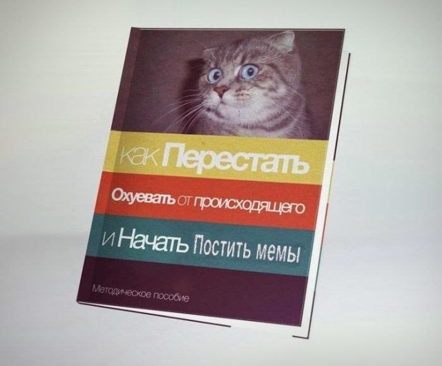 Картинки для деградации 197 (разной степени свежести)