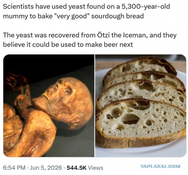 Хлеб тоже бывает разный.