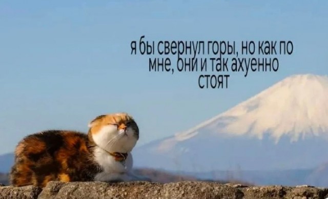 Бильдер(нем.)