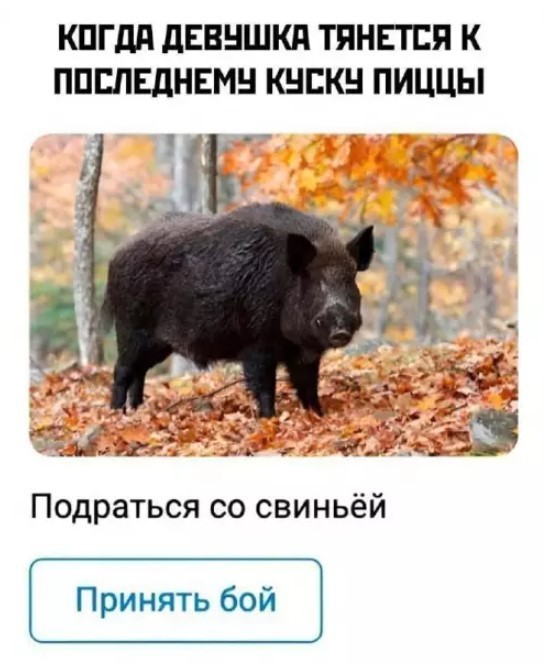 Картиночки, баянчики 18 июня