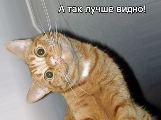 Вот как с такими отморозками поступать?