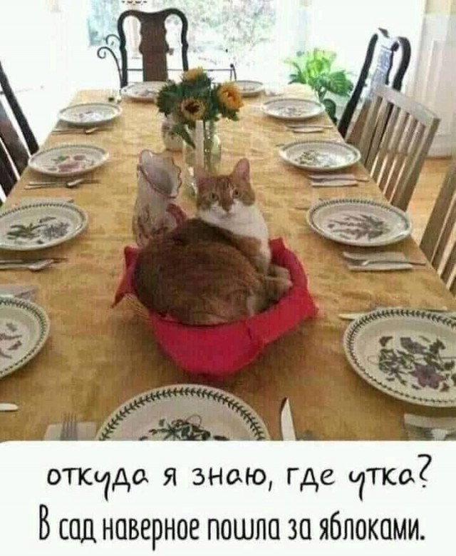 Прикольные и просто красивые картинки 01.09.2026