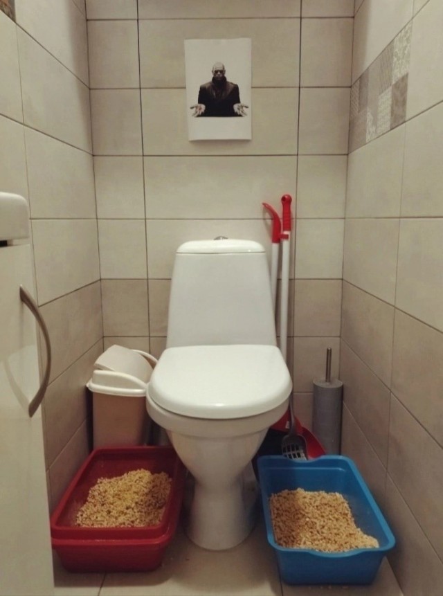 Нео там, Нео сям