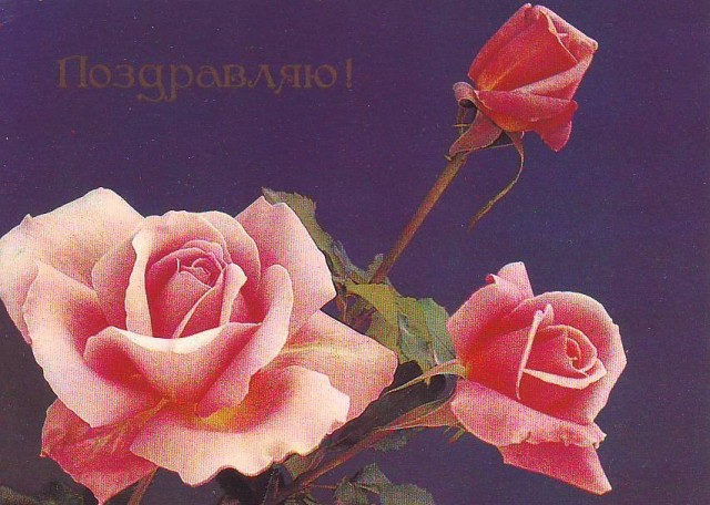 Советские открытки с цветочками!
