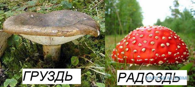 Минутка наркомании