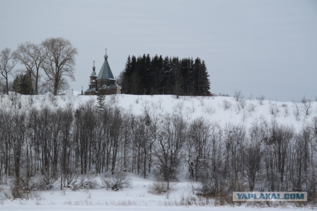 Цвет Зимы