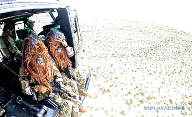 Весёлые картинки. Разбавим будни