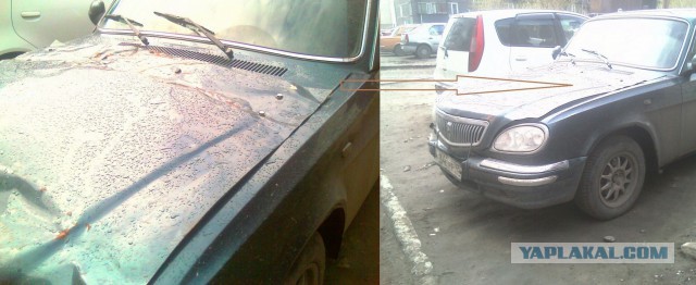 Автотюнинг 80lvl