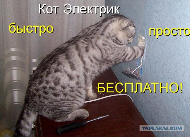 Фотожабы про спасение Барсика
