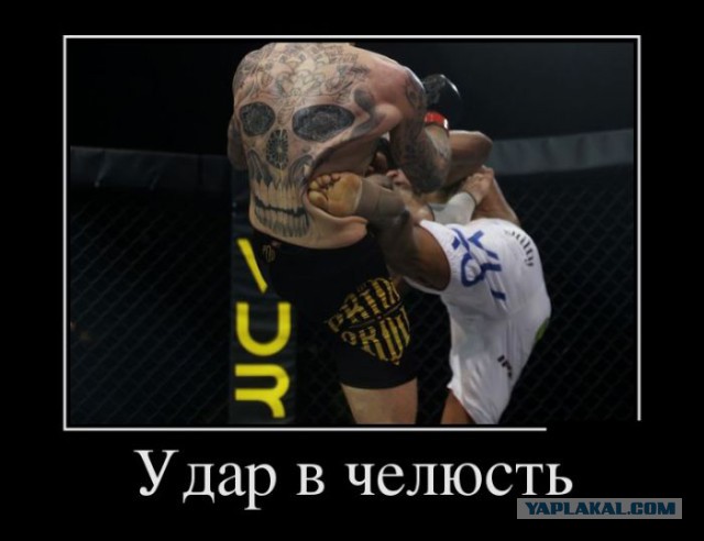 Демотиваторы