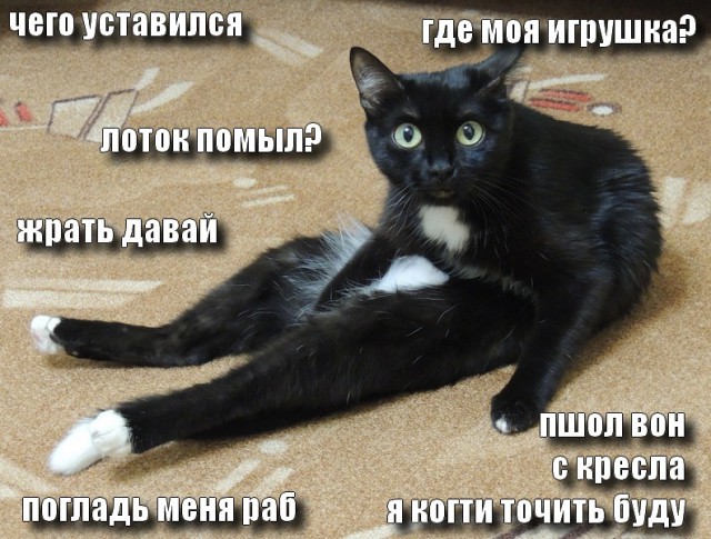 Жизнь как она есть...