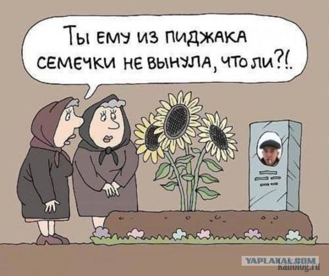 Прикольные картинки