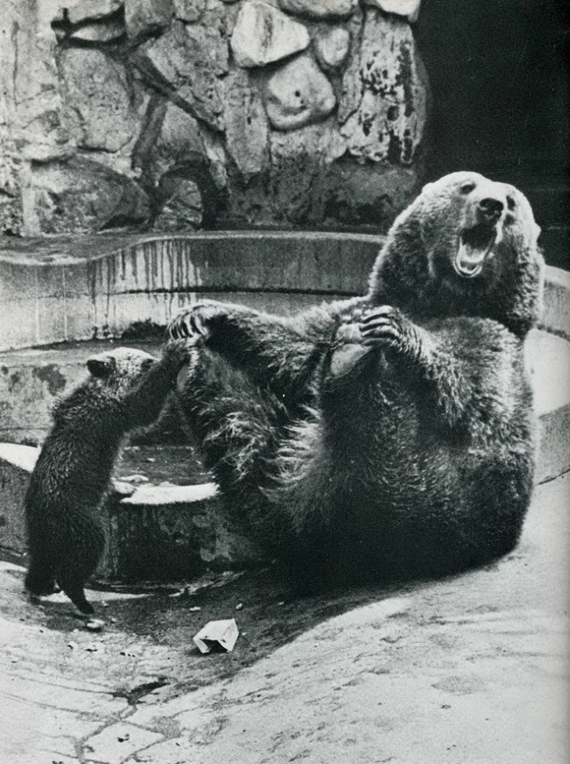 Фото сделанные в нужный момент