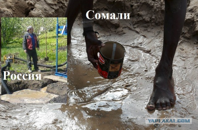 Засуха в Сомали