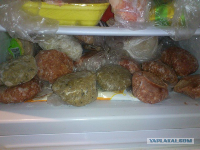 Как накормить кота