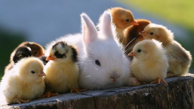 Подборка интересных и веселых фото