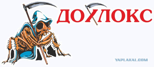 Знакомые купили отпугиватель от тараканов
