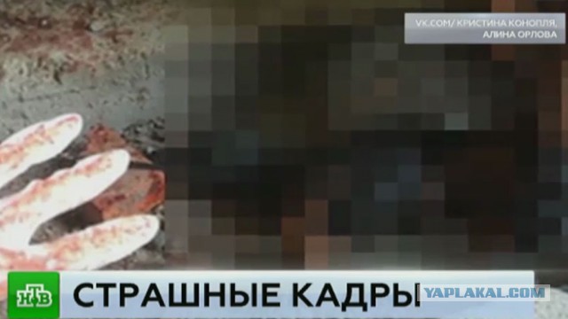 Мне кажется, или это про ЯП?