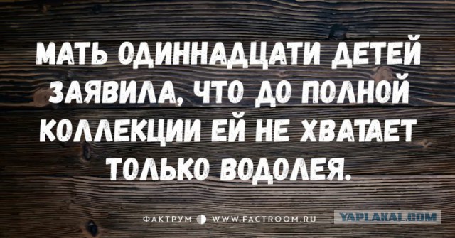 Высказывания из Интернета