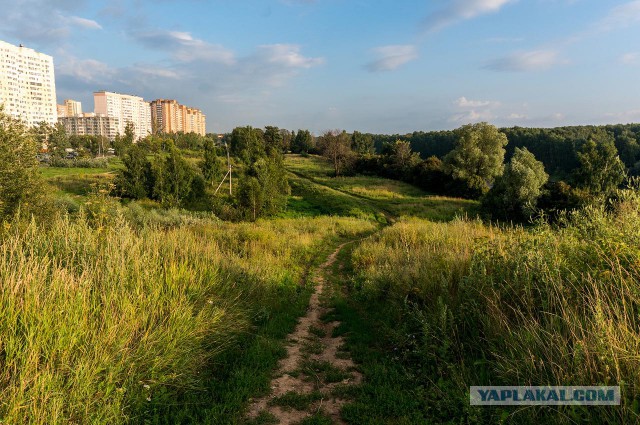 Долгопрудный (фото)