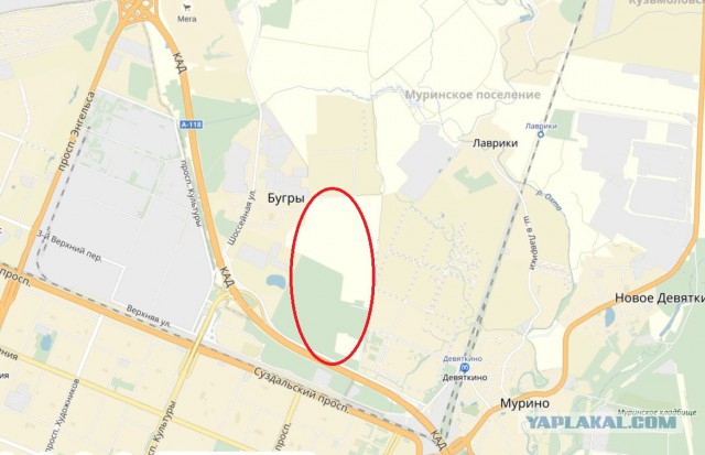 Страх и ненависть в Петербурге: Западное Мурино