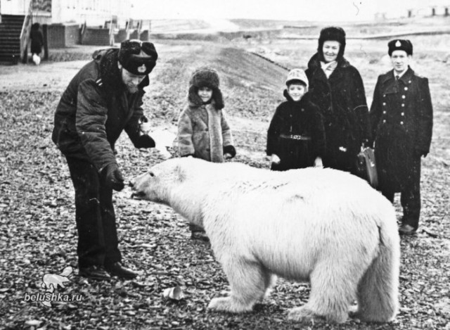 Подборка фотографий