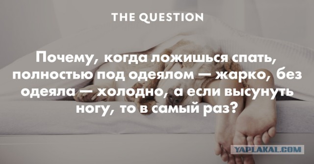 Спать вместе, или в разных комнатах